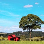 Parque Cultural Florata, um espaço de conexão com a natureza e bem-estar na região metropolitana de Goiânia